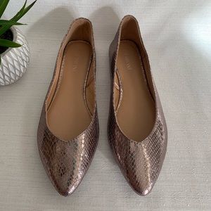 Lane Bryant Snake Texture Pewter Metallic Pointed Toe Flats  Woman’s  10W